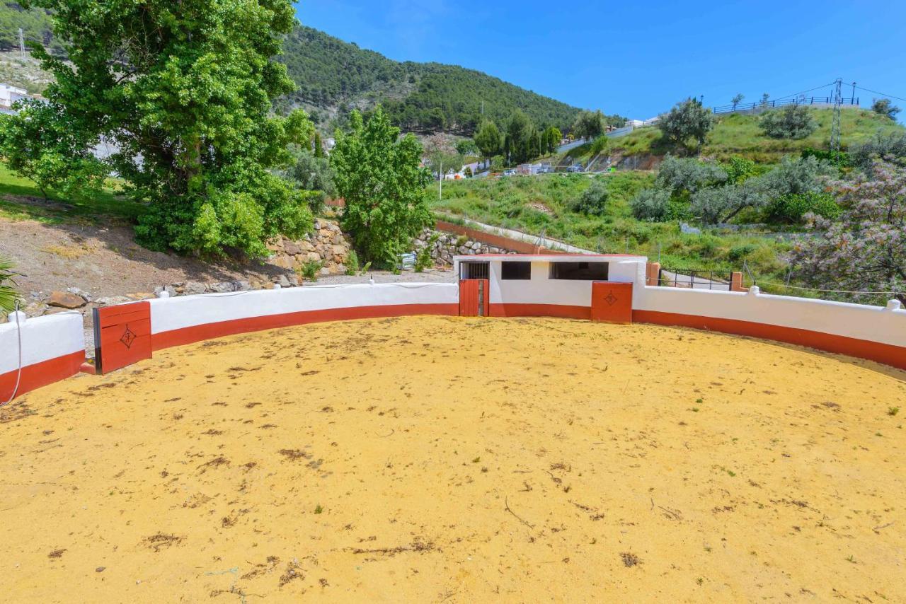 Casa Flores Con Piscina Interior Climatizada 알카우씬 외부 사진