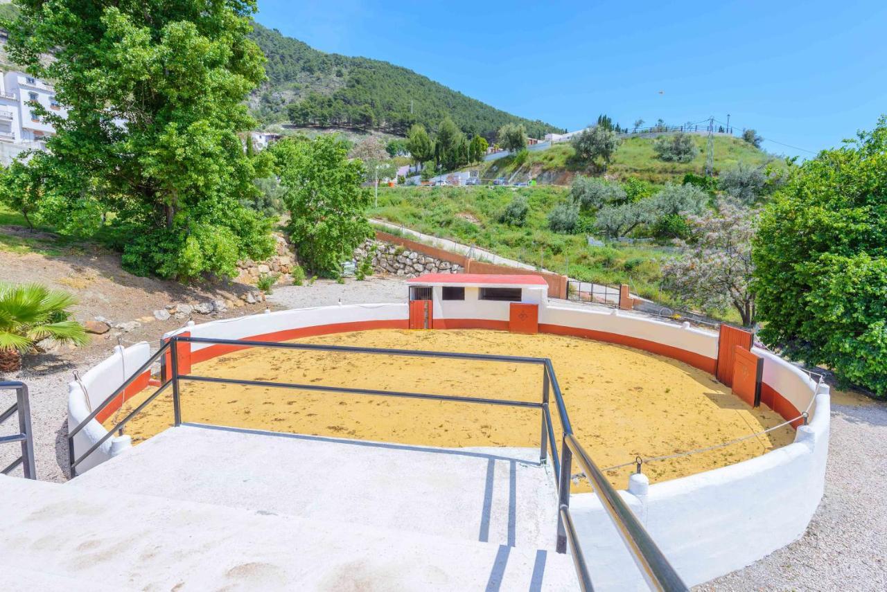 Casa Flores Con Piscina Interior Climatizada 알카우씬 외부 사진